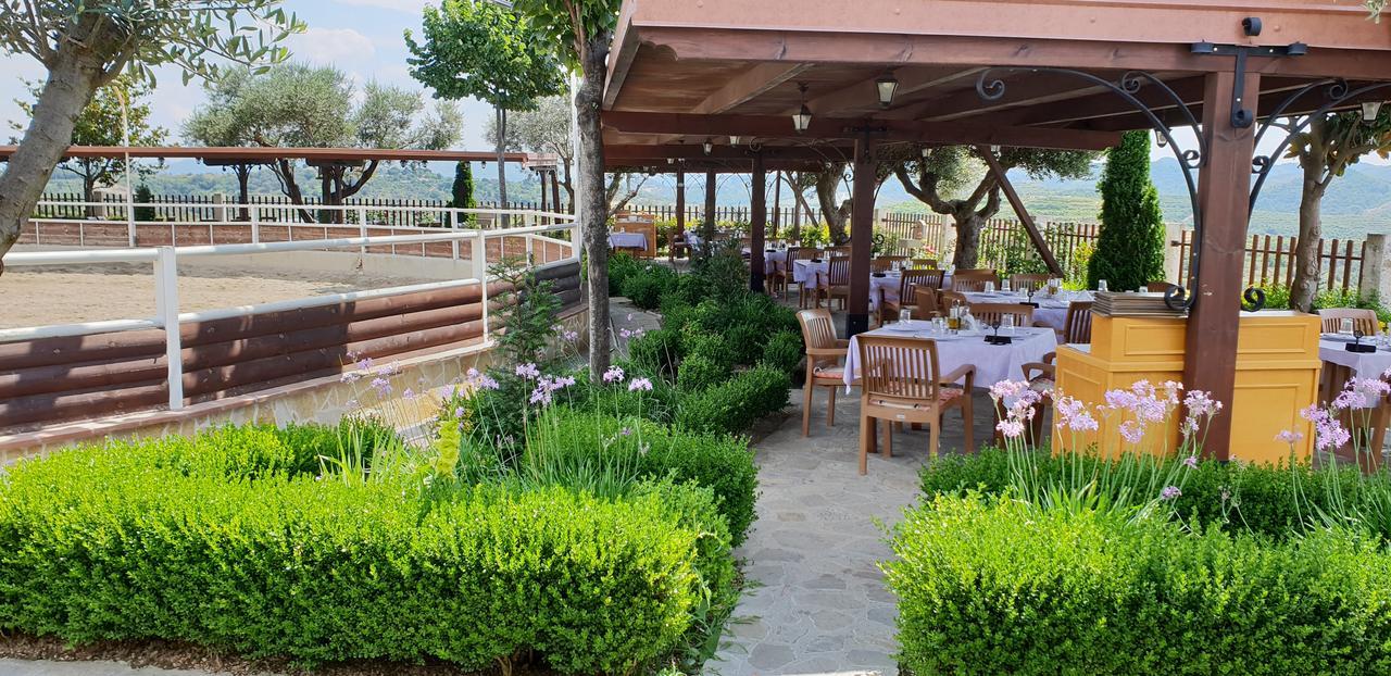 Hotel Agroturizem Kodra E Kuajve Škalngur Exterior foto